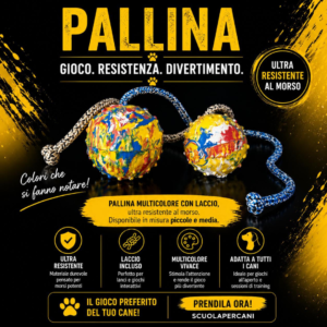 Pallina con corda