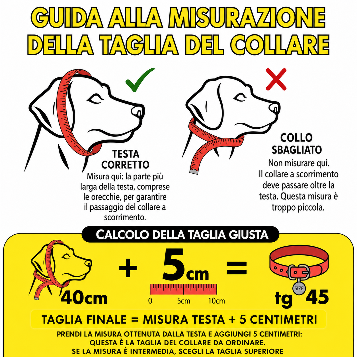 Collare salvavita artigianale - Scuolapercani - immagine 5