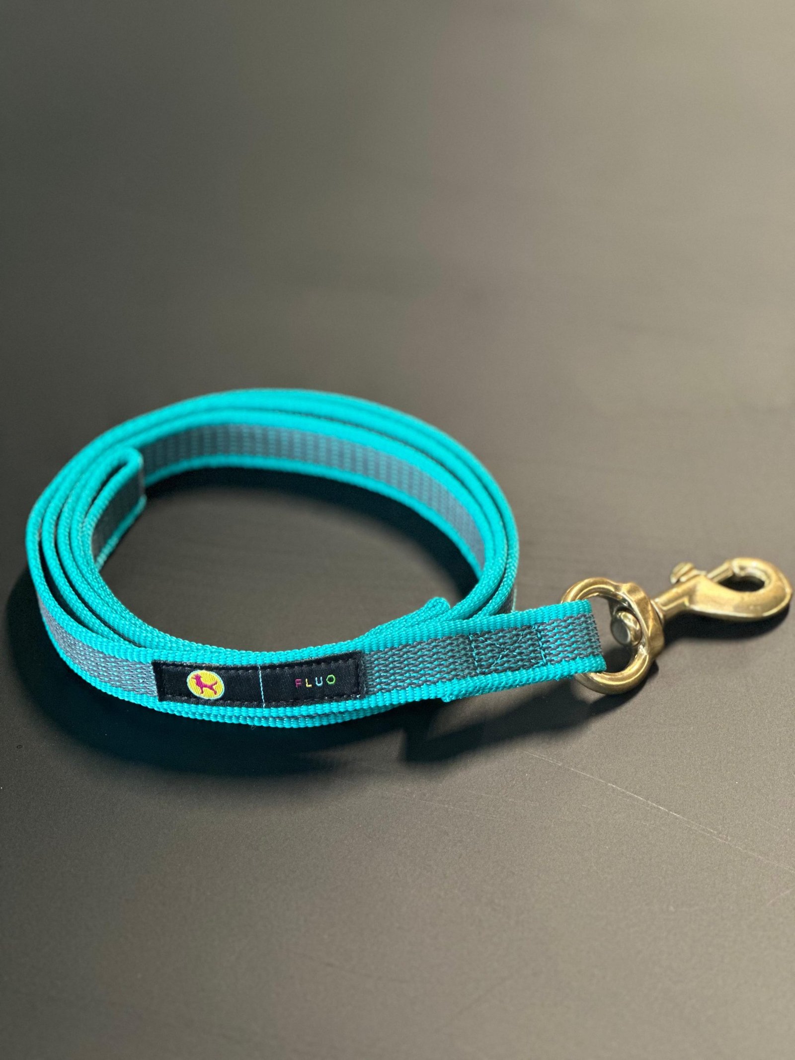 Guinzaglio verde fluo per cani con moschettone in ottone – Linea Scuolapercani Fluo