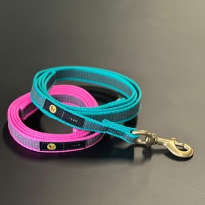 Guinzaglio fluo per cani con moschettone in ottone – Linea Scuolapercani Fluo
