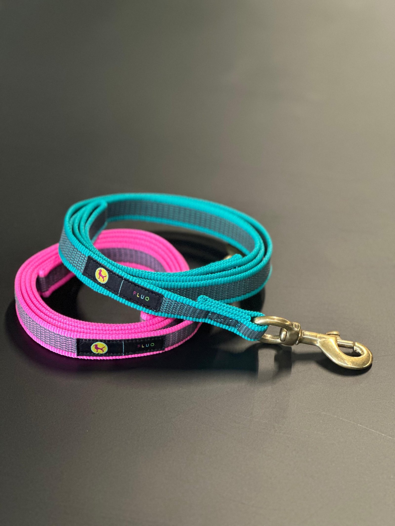 Guinzaglio fluo per cani con moschettone in ottone – Linea Scuolapercani Fluo