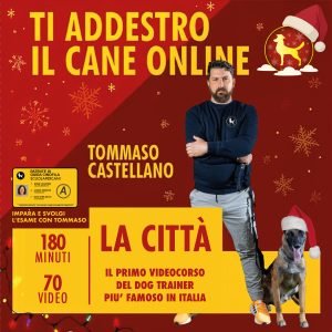 Videocorso "Ti addestro il cane online - La Città" di Tommaso Castellano