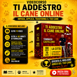 Videocorso "Ti addestro il cane online - La Città" di Tommaso Castellano