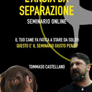 L'ansia da separazione - Tommaso Castellano